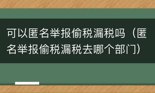 可以匿名举报偷税漏税吗（匿名举报偷税漏税去哪个部门）