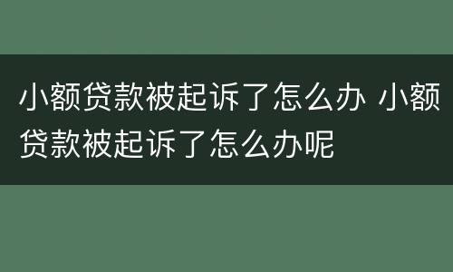 小额贷款被起诉了怎么办 小额贷款被起诉了怎么办呢