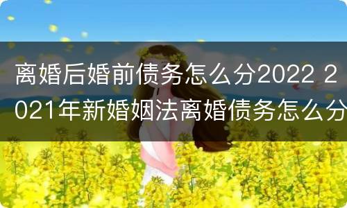 离婚后婚前债务怎么分2022 2021年新婚姻法离婚债务怎么分