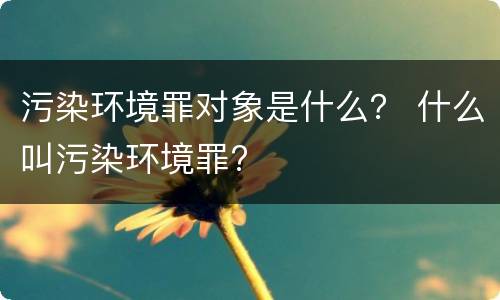 污染环境罪对象是什么？ 什么叫污染环境罪?