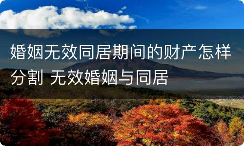 婚姻无效同居期间的财产怎样分割 无效婚姻与同居