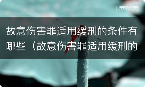 故意伤害罪适用缓刑的条件有哪些（故意伤害罪适用缓刑的条件有哪些规定）