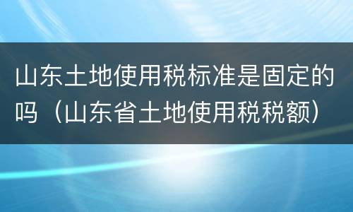 山东土地使用税标准是固定的吗（山东省土地使用税税额）