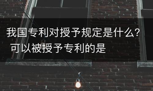 我国专利对授予规定是什么？ 可以被授予专利的是