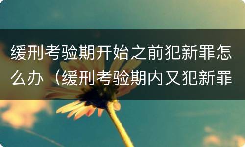 缓刑考验期开始之前犯新罪怎么办（缓刑考验期内又犯新罪怎么处理）