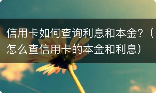 信用卡如何查询利息和本金?（怎么查信用卡的本金和利息）