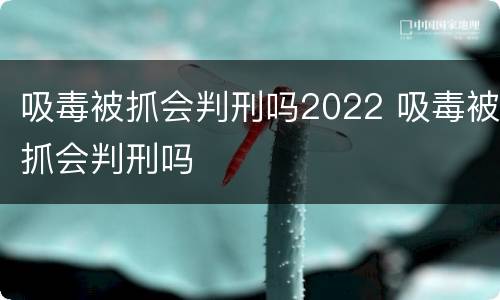 吸毒被抓会判刑吗2022 吸毒被抓会判刑吗