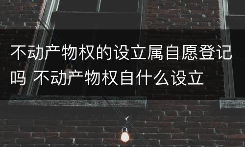 不动产物权的设立属自愿登记吗 不动产物权自什么设立