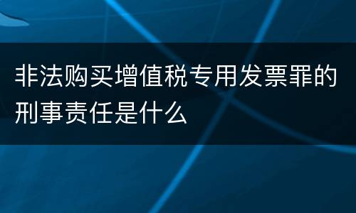 非法购买增值税专用发票罪的刑事责任是什么