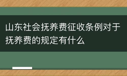 山东社会抚养费征收条例对于抚养费的规定有什么