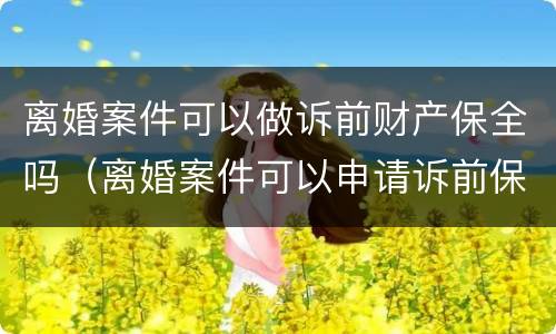 离婚案件可以做诉前财产保全吗（离婚案件可以申请诉前保全吗）