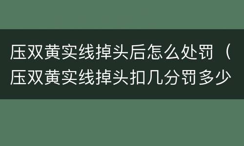 压双黄实线掉头后怎么处罚（压双黄实线掉头扣几分罚多少钱）