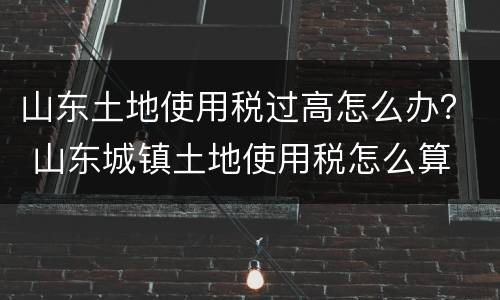 山东土地使用税过高怎么办？ 山东城镇土地使用税怎么算