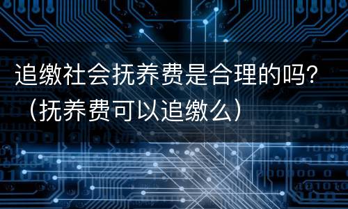 追缴社会抚养费是合理的吗？（抚养费可以追缴么）