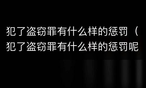 犯了盗窃罪有什么样的惩罚（犯了盗窃罪有什么样的惩罚呢）