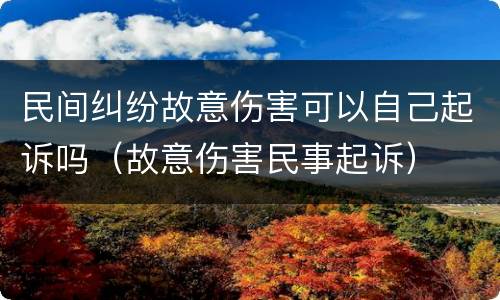 民间纠纷故意伤害可以自己起诉吗（故意伤害民事起诉）