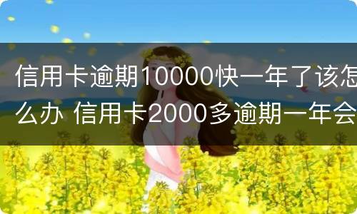 信用卡逾期10000快一年了该怎么办 信用卡2000多逾期一年会怎么处理