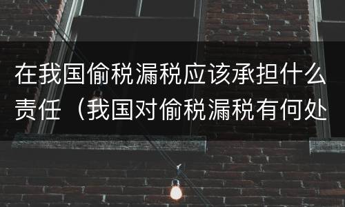 在我国偷税漏税应该承担什么责任（我国对偷税漏税有何处罚）