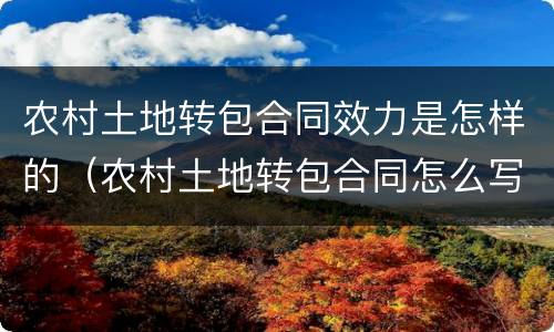 农村土地转包合同效力是怎样的（农村土地转包合同怎么写才合法）