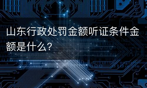 山东行政处罚金额听证条件金额是什么？