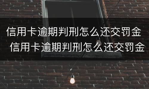 信用卡逾期判刑怎么还交罚金 信用卡逾期判刑怎么还交罚金呢