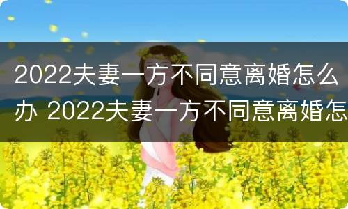 2022夫妻一方不同意离婚怎么办 2022夫妻一方不同意离婚怎么办呀