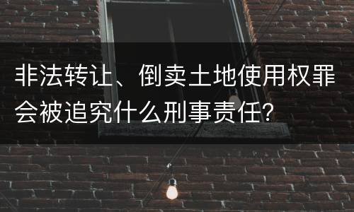 非法转让、倒卖土地使用权罪会被追究什么刑事责任？