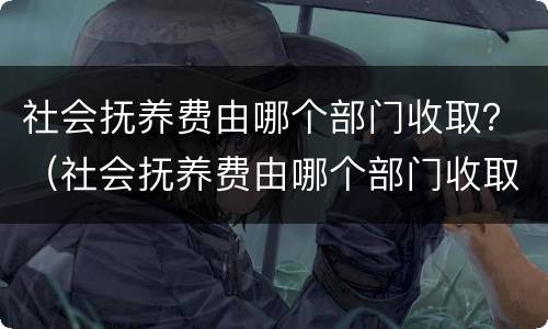 社会抚养费由哪个部门收取？（社会抚养费由哪个部门收取标准）