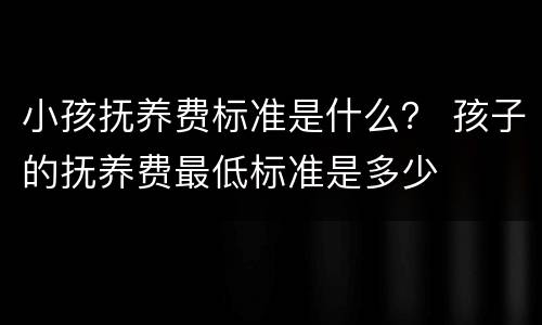 小孩抚养费标准是什么？ 孩子的抚养费最低标准是多少