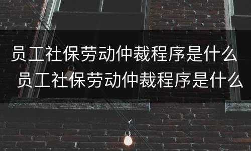 员工社保劳动仲裁程序是什么 员工社保劳动仲裁程序是什么法律