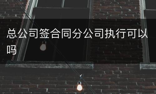 总公司签合同分公司执行可以吗