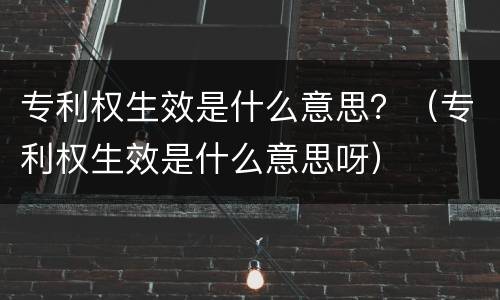 专利权生效是什么意思？（专利权生效是什么意思呀）