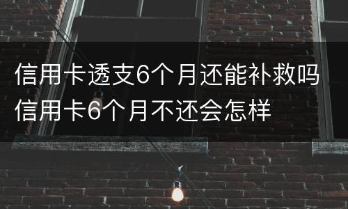 信用卡透支6个月还能补救吗 信用卡6个月不还会怎样