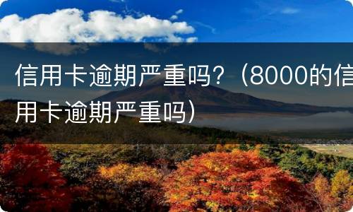 信用卡逾期严重吗?（8000的信用卡逾期严重吗）