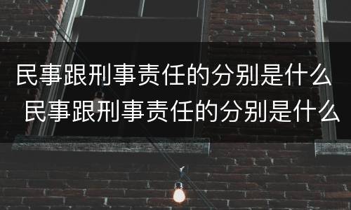 民事跟刑事责任的分别是什么 民事跟刑事责任的分别是什么呢