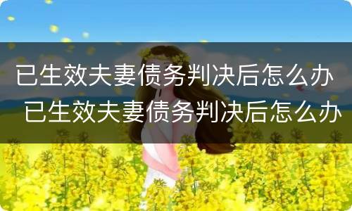 已生效夫妻债务判决后怎么办 已生效夫妻债务判决后怎么办理离婚