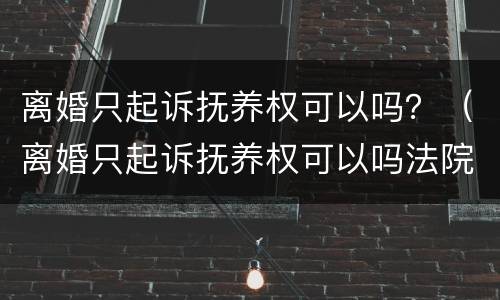 离婚只起诉抚养权可以吗？（离婚只起诉抚养权可以吗法院）