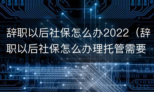 辞职以后社保怎么办2022（辞职以后社保怎么办理托管需要准备什么）