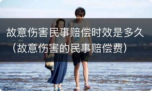 故意伤害民事赔偿时效是多久（故意伤害的民事赔偿费）