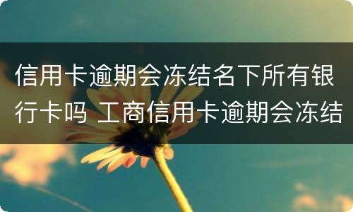 信用卡逾期会冻结名下所有银行卡吗 工商信用卡逾期会冻结名下所有银行卡吗