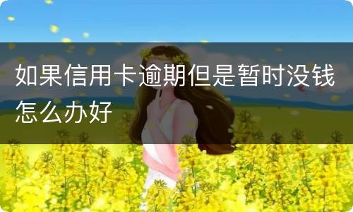 如果信用卡逾期但是暂时没钱怎么办好