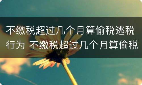 不缴税超过几个月算偷税逃税行为 不缴税超过几个月算偷税逃税行为呢