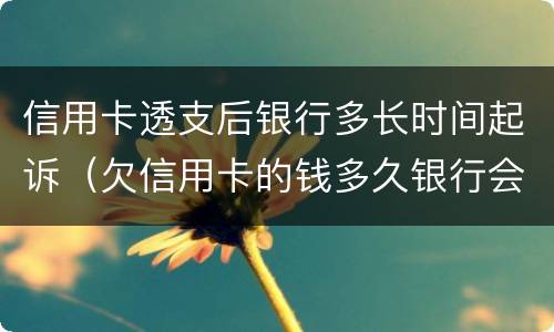 信用卡透支后银行多长时间起诉（欠信用卡的钱多久银行会起诉）