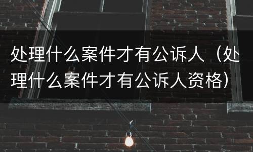 处理什么案件才有公诉人（处理什么案件才有公诉人资格）