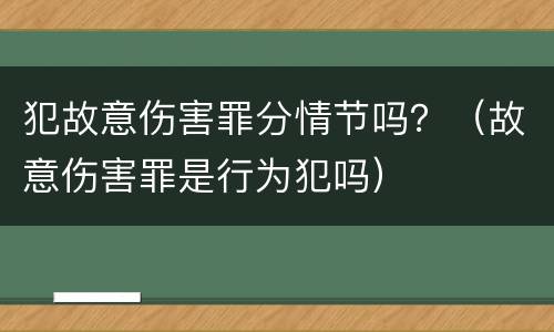 犯故意伤害罪分情节吗？（故意伤害罪是行为犯吗）