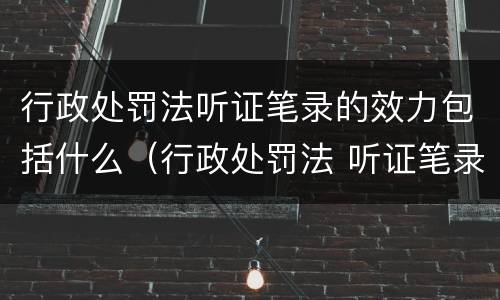 行政处罚法听证笔录的效力包括什么（行政处罚法 听证笔录）