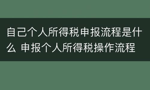 自己个人所得税申报流程是什么 申报个人所得税操作流程