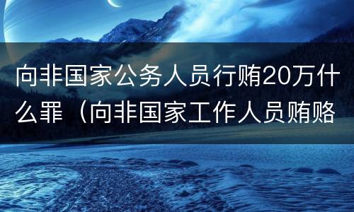 向非国家公务人员行贿20万什么罪（向非国家工作人员贿赂案件）