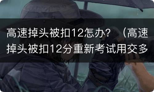 高速掉头被扣12怎办？（高速掉头被扣12分重新考试用交多少钱）