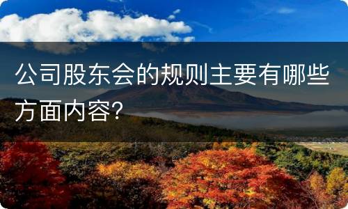 公司股东会的规则主要有哪些方面内容？